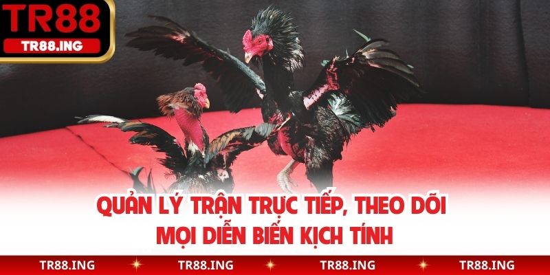 Quản lý trận trực tiếp, theo dõi mọi diễn biến kịch tính