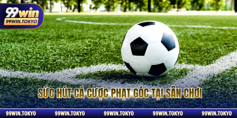 Sức hút cá cược phạt góc tại sân chơi